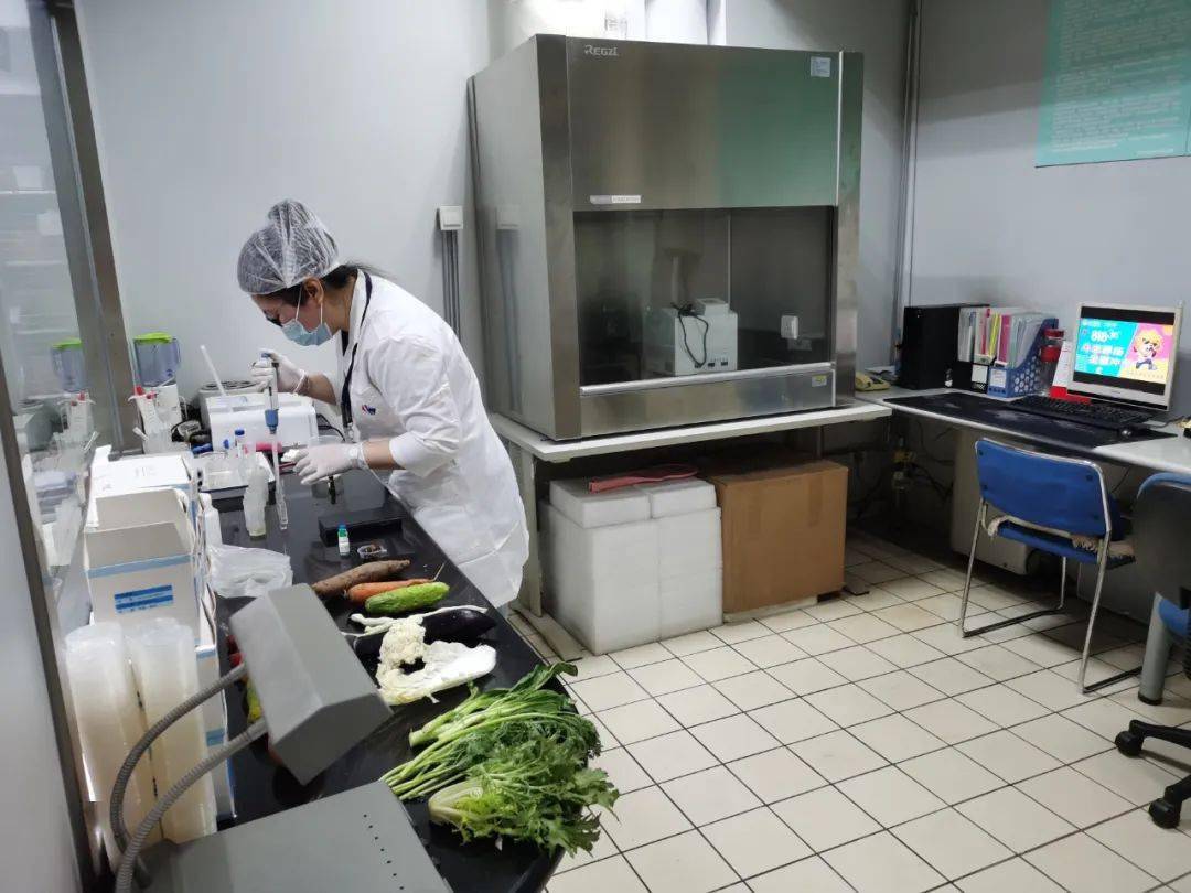 江汉石油管理局食品检测实验室装修方案